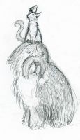 Bird on a Cat on a Dog