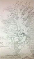 Oak\'s Embrace
