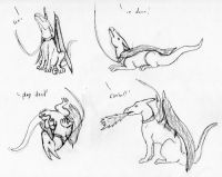 Dragon Training
