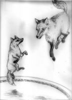 Foxy bounce