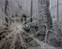The Search