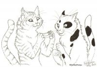 Cats Cradle