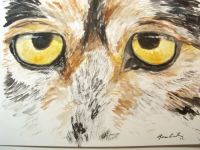 Eyes have it