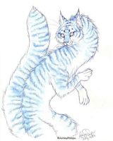 Favourite Animal
