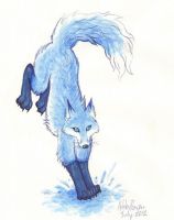 Blue Fox
