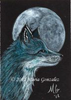 Blue Fox