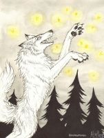 Chasing Fireflies