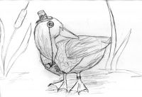 Ducky