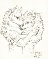 Perfect Companions