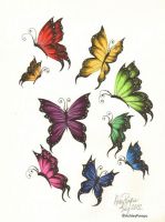 Wings Wings Wings
