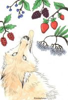 Sweet Summer Berries
