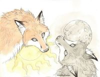 Light Vs Dark