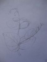 Portrait of a Pea Tendril