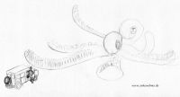 Sundew