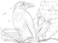 Quoth The Raven