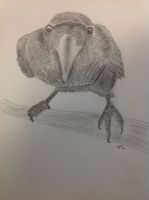 Raven
