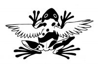 Flying Frog