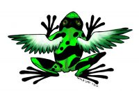 Flying frog