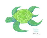 Emerald Sea Turtle