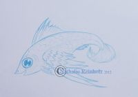 Flying fishie