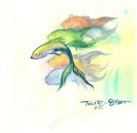 Rainbow Trout