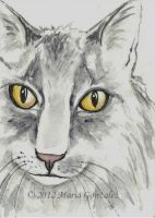 Golden Eyes