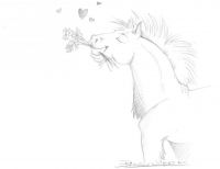 Horsing Around
