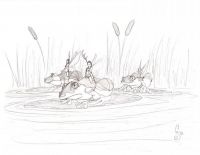 Fairy Cavalry