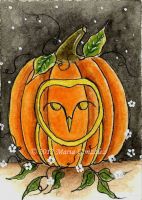 Pumpkin Owl