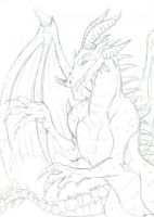 Night Dragon
