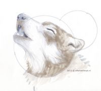 Wolf Moon