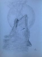 Howl of the Night
