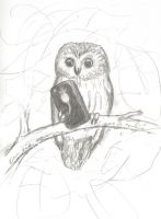 Whoooo, R U ???