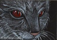 Devil Eyes