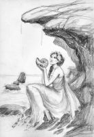 Shell Seeker