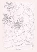 Naked Fairies