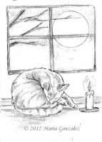 By Candlelight