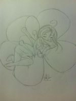 Fairy Sleeping In A Poppy Flower