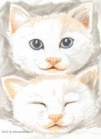 Twins