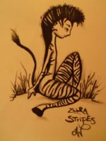 Zebra Stripes