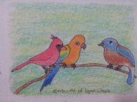 3 Little Birds