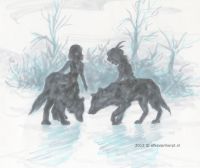 Shadows in the Mist