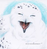 Sheer Joy