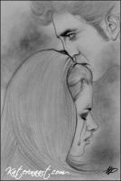Lost Memories (Edward and Bella)