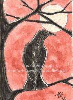 The Raven