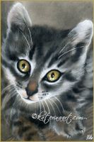 The cat\'s meow