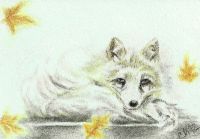 Fox of the Fall Leaves ACEO