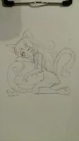 black cat and pumpkin