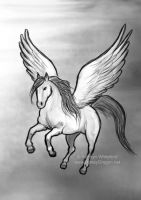 Wind Rider