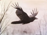 The Raven\'s flight